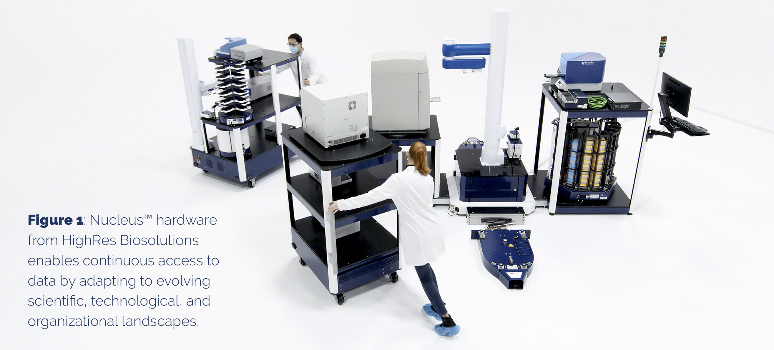 Screenshot 2025-11-13 at 1.21.25 PM